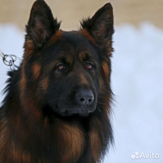 Открыт для вязок