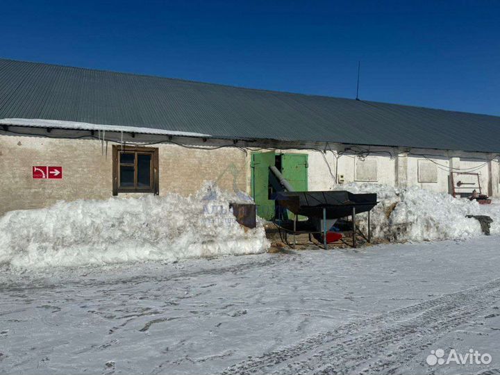 Продаётся готовый бизнес - мел