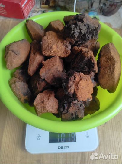 Березовый гриб чага продам