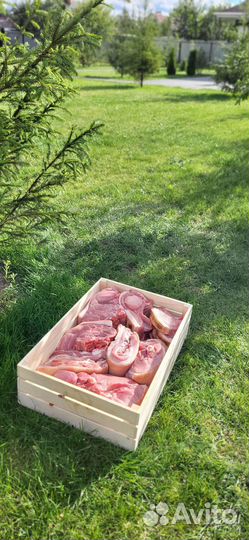 Мясо свинина на кости