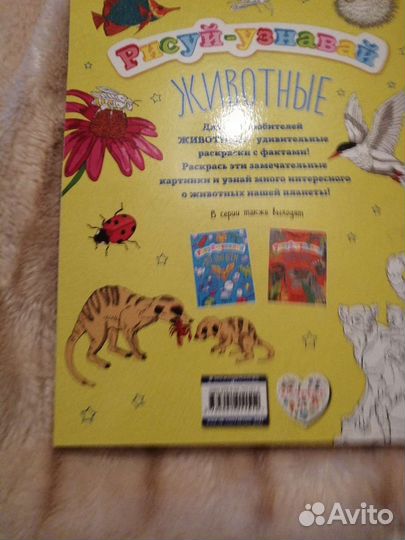 Рисуй узнавай животные