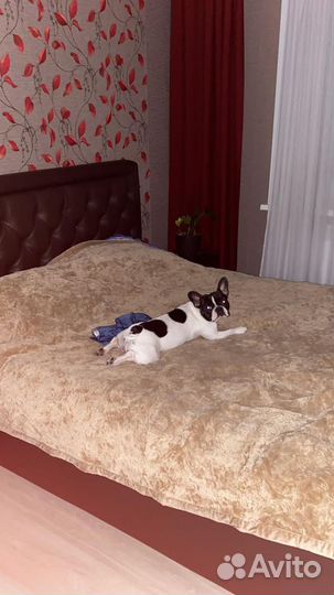 Кровать двухспальная с матрасом 160 200