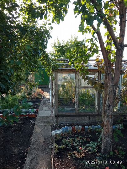 Дача 10 м² на участке 6 сот.