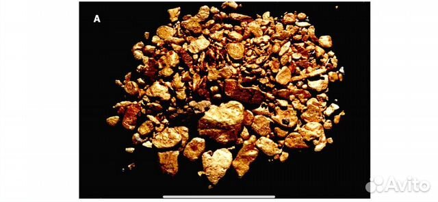 Месторождение золота палеороссыпь 8 тонн 0,8 км2 объявление продам