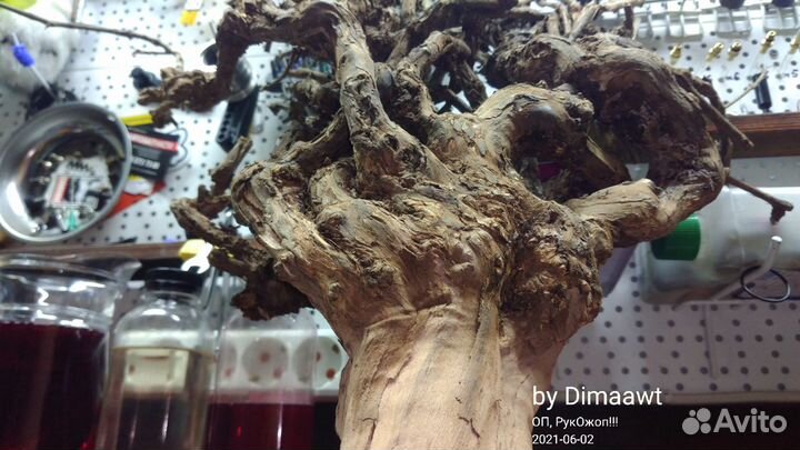 Корень Винограда для декора