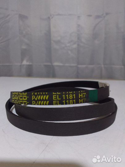 Ремень стиральной машины Dayco 1181 H7 EL