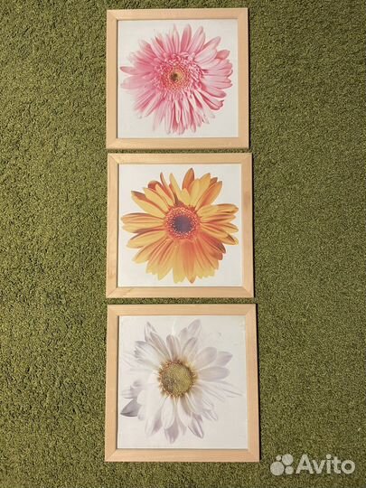 Картины и постеры IKEA