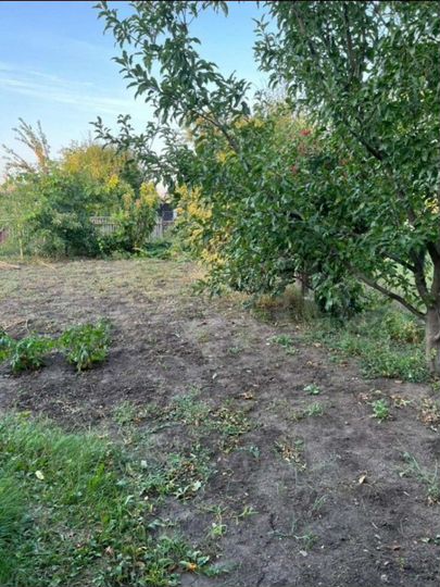 Дом 60 м² на участке 7 сот.