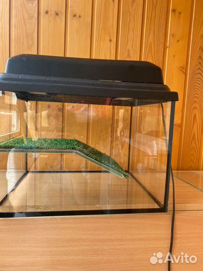 Аквариум