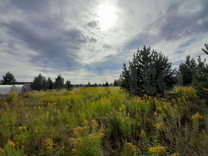 Участок 10 сот. (ИЖС)