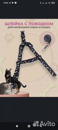 Шлейка с поводком