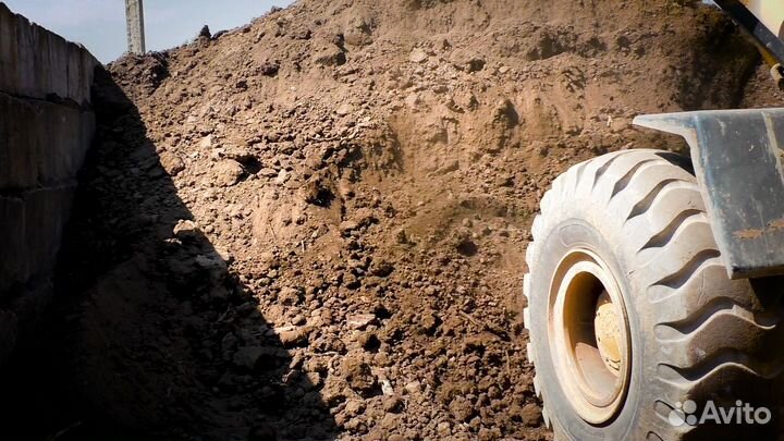 Чернозём Шаховская