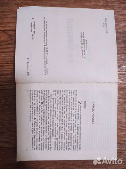 Маршал М.Н. Тухачевский. В М. Иванов