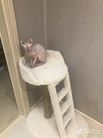 Когтеточка с лежанкой 