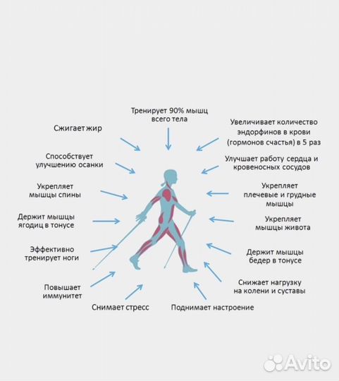 Палки для скандинавской ходьбы Новые