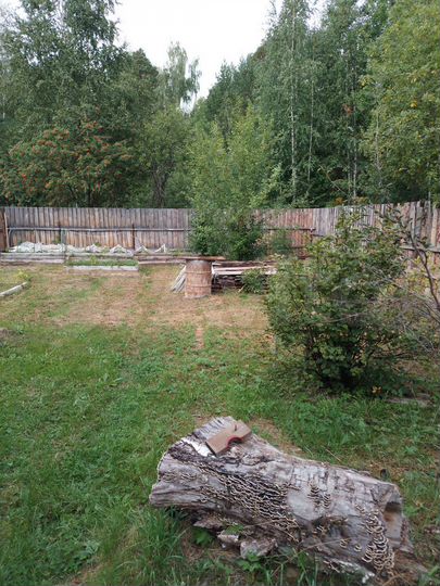 Дом 40 м² на участке 7 сот.