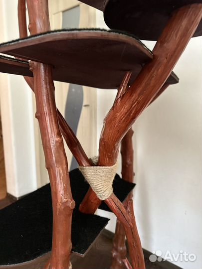 Когтеточка для кошек новая