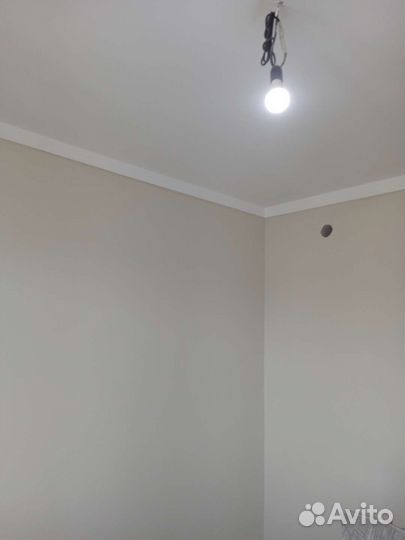 Шпаклёвка стен и потолков