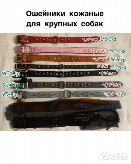 Ошейники, шлейки, поводки, намордники, трос