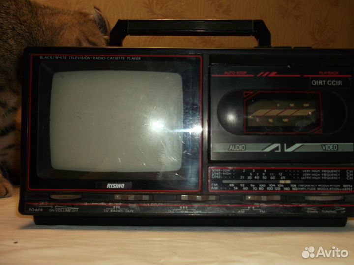 Мультисистема