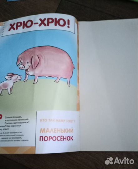 Развивающие книги пакетом