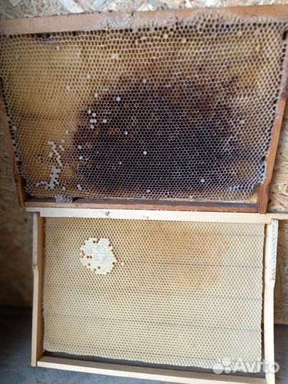 Рамки с сушью