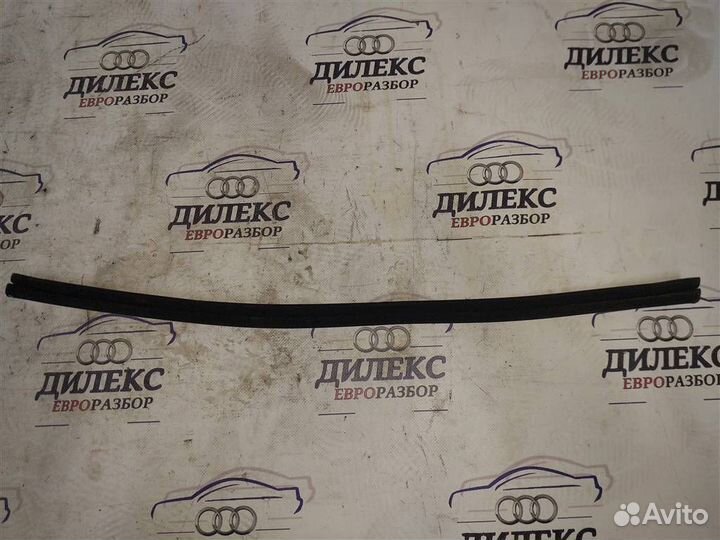 Уплотнитель стекла двери Audi Q5