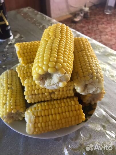 Сладкая сахарная кукуруза в початках