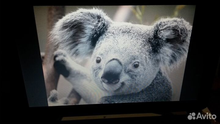 Нетбук емашинес