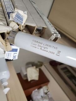 Лампы osram L36w/765 cool daylight