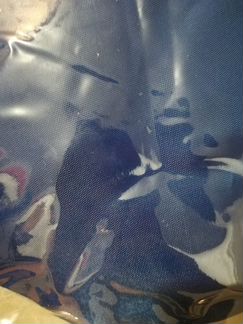 Чехлы для коляски новые