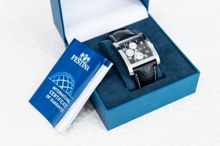 Мужские часы Festina F16235/6