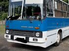 Городской автобус Ikarus 260