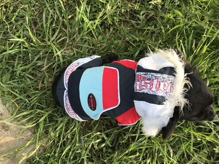 Одежда для собак. Зимний комбинезон