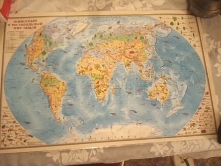 Карты Животный и растительный мир и Дальний восток