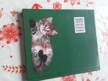 Книга с картинками