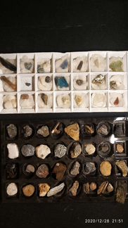 Коллекция камней и окаменелостей
