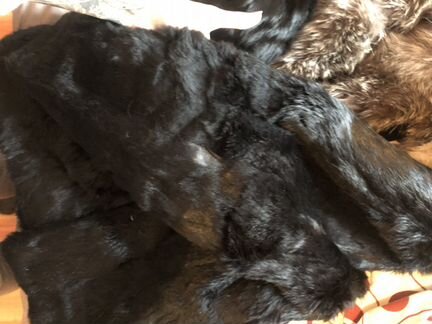 Шуба кролик с лисой