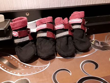 Акссесуары для маленькой собачки