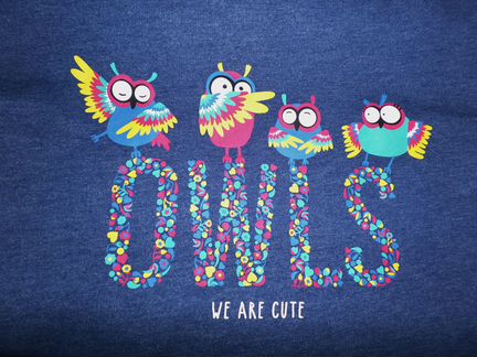 Толстовки с птичками, хлопок 44-46