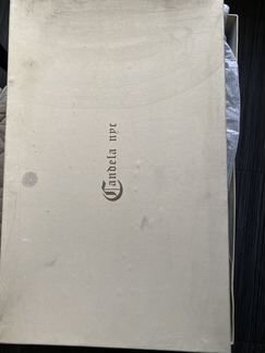 Сапоги Candela