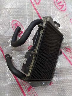 Радиатор в сборе Suzuki Burgman/Skywave 650