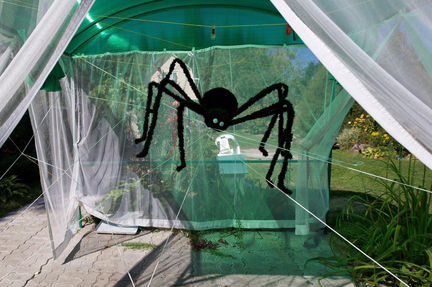 Паук для праздника/вечеринки (продажа, аренда)