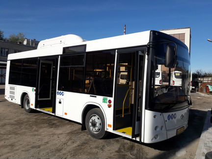 Автобус лотос-206. Новый (2019 г)