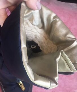 Зимняя обувь для девочки