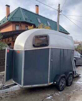 Конеперевозка лошадей