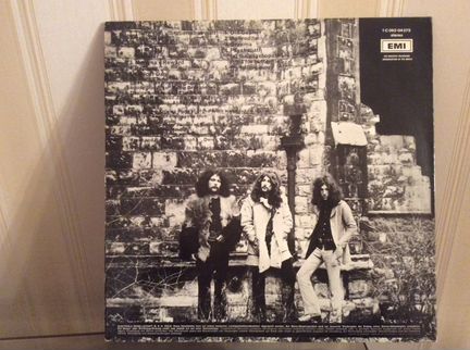Виниловая пластинка Edgar Broughton Band