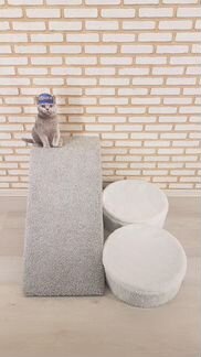 Пандус для собаки (домашнего питомца)